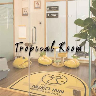 Tropical Room