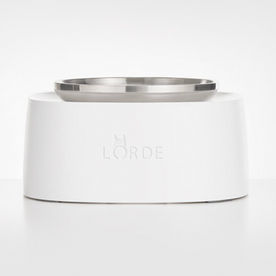 Lorde Cat bowl