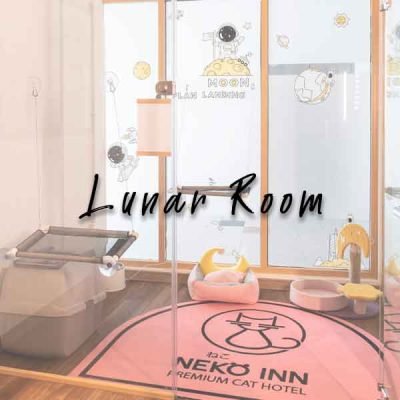 Lunar Room