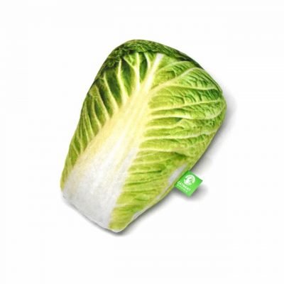 Cat Nip Toy(Chinese Cabbage)