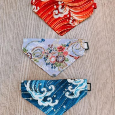 Bandana Cat Collar