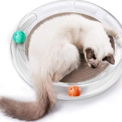 Pet Kit 4-1 Cat Scratcher