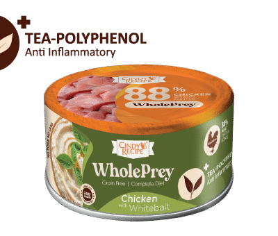 CINDY RECIPE Chicken with Whitebait